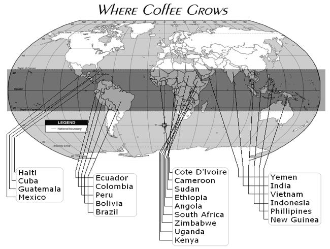 Where Coffee Grows