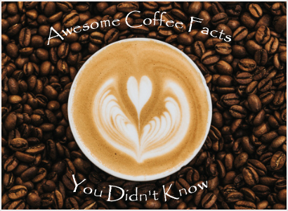 fun facts about coffee - things to know about coffee