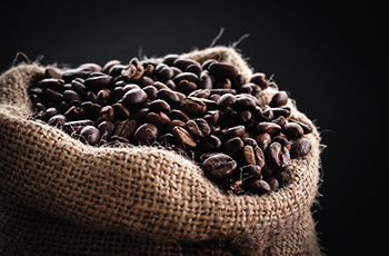 The Coffee Bean - Coffee Plant, Where Coffee Grows